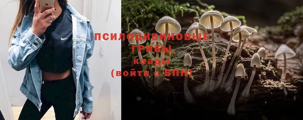 каннабис Уссурийск
