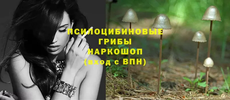 гидра вход  Заволжск  Псилоцибиновые грибы MAGIC MUSHROOMS 